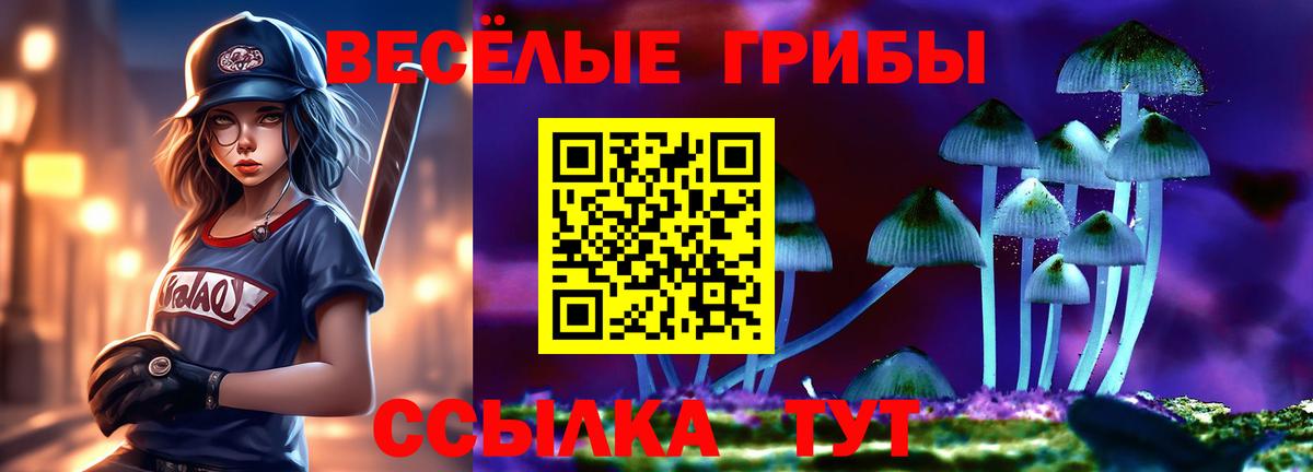 Нефтекумск  Псилоцибиновые грибы MAGIC MUSHROOMS  Вход с VPN 